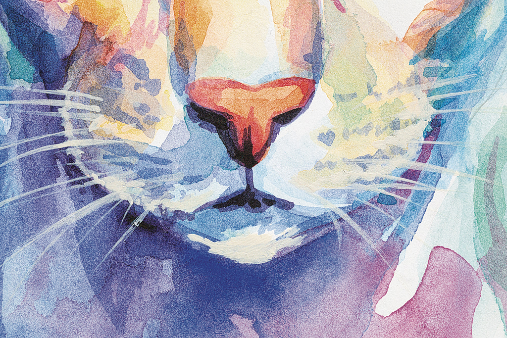 Η Μπίλι στο καταφύγιο