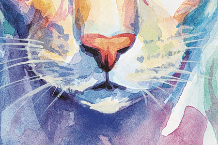 Η Μπίλι στο καταφύγιο