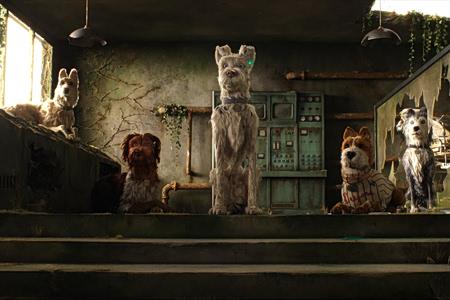 Αυτός είναι ο αρχαιότερος σκύλος – Ο πιστός φίλος 15.800 ετών, που δεν ήταν λύκος