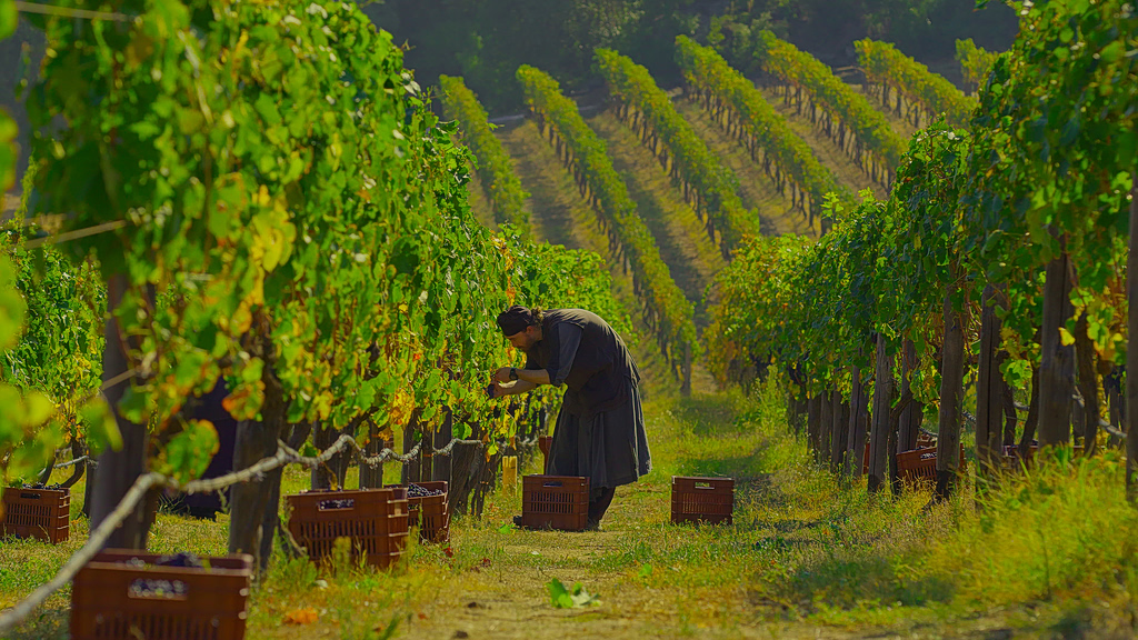 Η μοναστηριακή κουζίνα της Ελλάδας: Το αυθεντικό farm-to-table των μοναστηριών