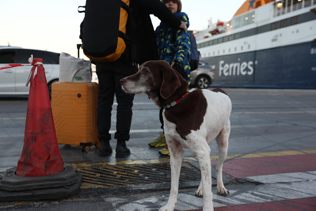 Πάσχα 2026: Η μεγάλη έξοδος ξεκίνησε – Πόσο κοστίζει το ταξίδι σε καύσιμα, διόδια, ΚΤΕΛ
