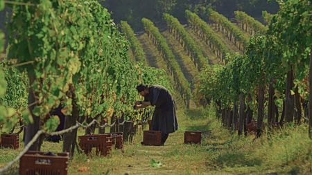 Η μοναστηριακή κουζίνα της Ελλάδας: Το αυθεντικό farm-to-table των μοναστηριών