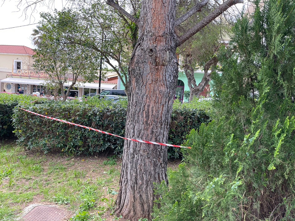 Θάνατος 19χρονης στην Κεφαλονιά: Βίντεο «καίει» τους συλληφθέντες