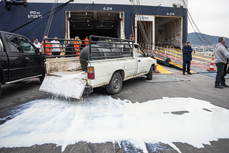 Λέσβος: «Lockdown» στο λιμάνι από τους κτηνοτρόφους – «Πετάμε το γάλα, τα ζώα μας λιμοκτονούν»