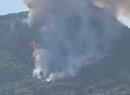 Φωτιά κι 112 στην Αχαΐα: Ενισχύονται οι δυνάμεις στην Άμπελο – Εκκενώνεται η Άνω Ποροβίτσα