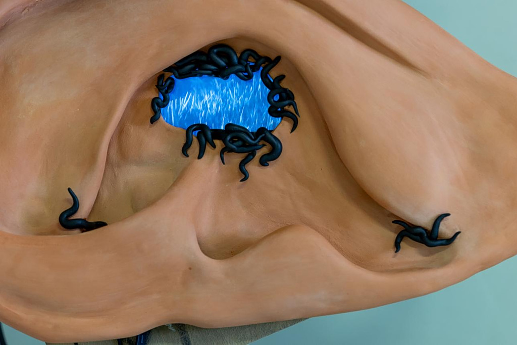 Η μνήμη ως ζωντανή συνέχεια στη Νάξο