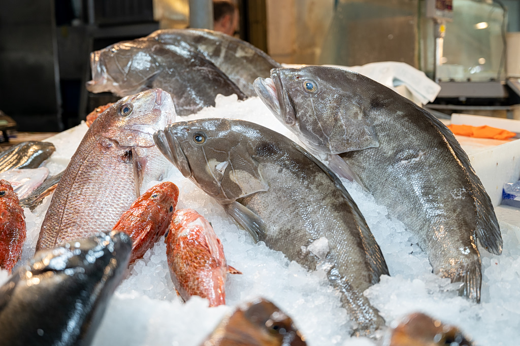 Ποια ψάρια βρίσκονται τώρα στα καλύτερά τους και πώς τα μαγειρεύουμε – Οι ειδικοί απαντούν