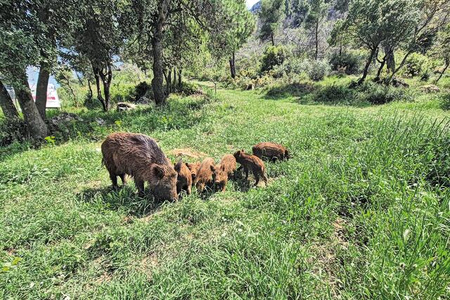 Το βάρος πίσω από το γουέστερν