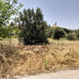 Ακαθάριστα οικόπεδα: Τι πρέπει να κάνουν οι ιδιοκτήτες, τα πρόστιμα