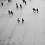Το καταφύγιο της άγνοιας