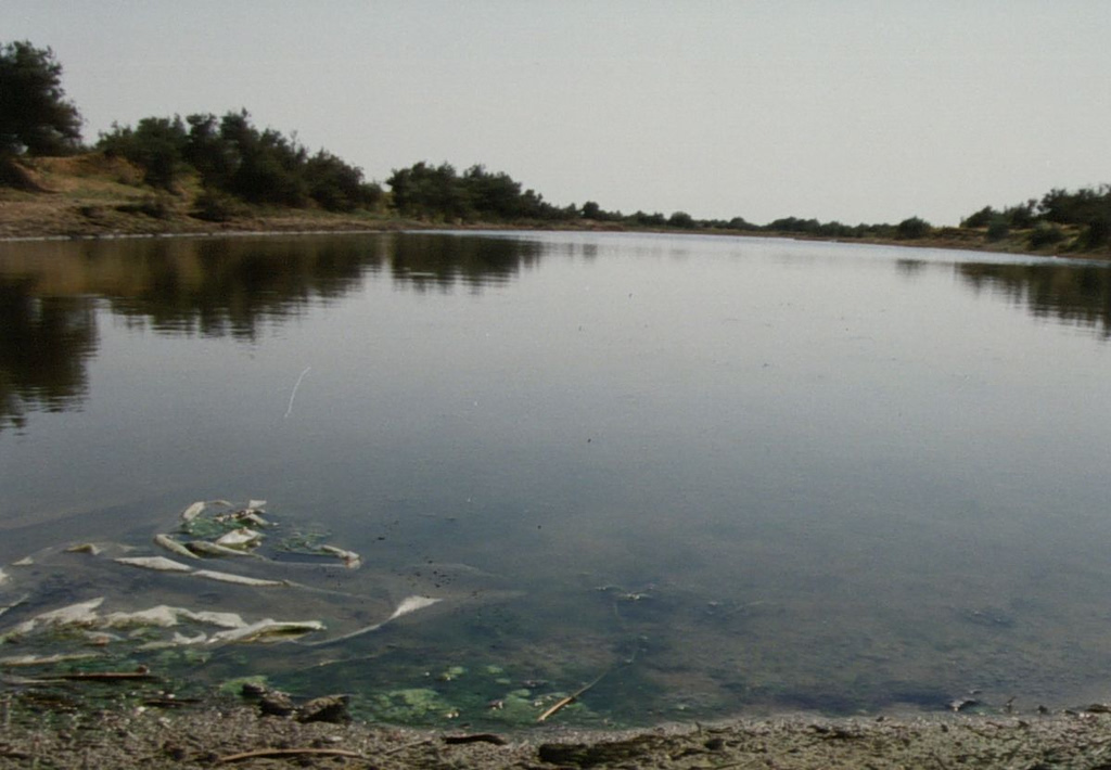 Θεσσαλονίκη: Άγρια δολοφονία άνδρα – Τον σκότωσαν και τον πέταξαν στον Λουδία | Επικαιρότητα στο PlusTV.gr