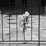 Ηλιούπολη: Η «βουτιά θανάτου» των δύο κοριτσιών και η αόρατη επιδημία των εφηβικών αυτοκτονιών