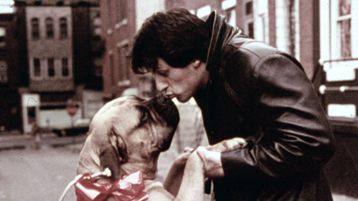 Όταν ο Sylvester Stallone πούλησε τον σκύλο του για 40$ κι αργότερα τον αγόρασε ξανά για 15.000$ – Άγνωστες ιστορίες μιας πολυτάραχης ζωής