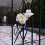 «Αυτός ο κόσμος δεν είναι για εμένα!»