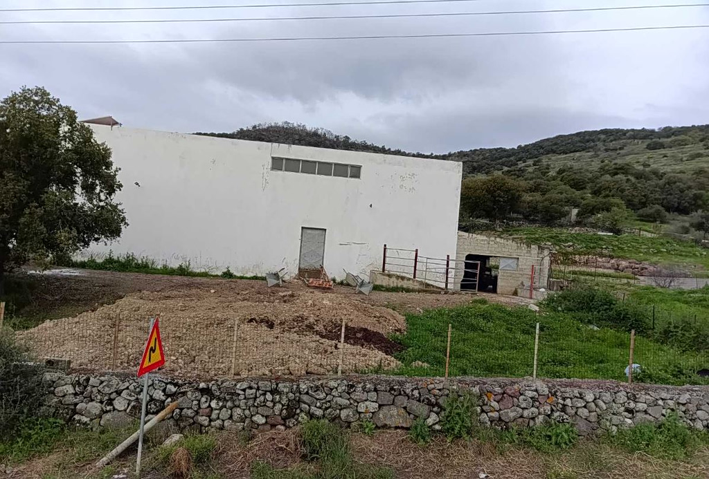 «Θα έπινε η Λέσβος νερό και αίμα»: Ο αφθώδης πυρετός, οι θανατώσεις και η εγκατάλειψη