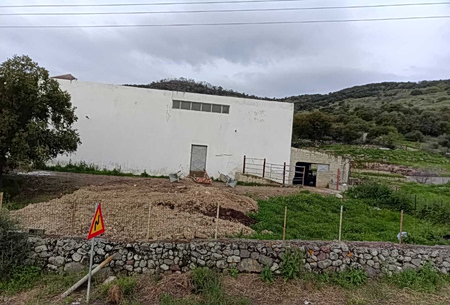 «Θα έπινε η Λέσβος νερό και αίμα»: Ο αφθώδης πυρετός, οι θανατώσεις και η εγκατάλειψη