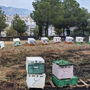 Συνελήφθη 45χρονος μελισσοκόμος για τη φωτιά στο Άλσος Βεΐκου