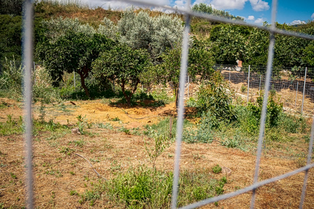 Σταυρούλα Λεβεντάκη: Δεμένη και φιμωμένη βρέθηκε η 45χρονη – Ο κρυφός δεσμός και οι απειλές πριν το έγκλημα