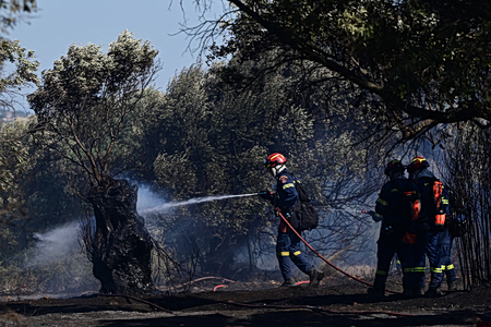 Φωτιά στο Ακραίφνιο Βοιωτίας: Ενισχύθηκαν οι δυνάμεις της πυροσβεστικής – Έκλεισε η Αθηνών – Λαμίας