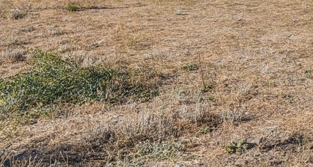 Ακαθάριστα οικόπεδα: Τέλος χρόνου, έρχονται τσουχτερά πρόστιμα