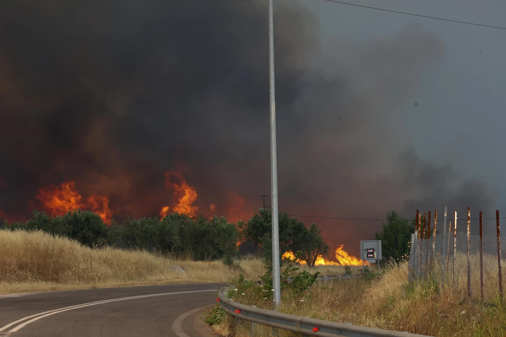 Φωτιά τώρα σε χαμηλή βλάστηση στους Νέους Επιβάτες Θεσσαλονίκης – «Παραμείνετε σε ετοιμότητα»