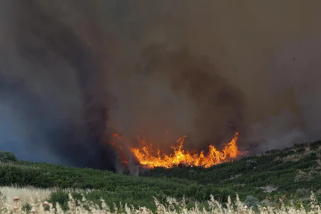 Τρεις συλλήψεις για φωτιές από αμέλεια σε Πρέβεζα και Χαλκιδική
