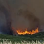 Τρεις συλλήψεις για φωτιές από αμέλεια σε Πρέβεζα και Χαλκιδική