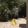 Χαλάνδρι: Μάχη για τη ζωή του δίνει o 17χρονος που έπεσε από μπαλκόνι – Συνελήφθη υπάλληλος μίνι μάρκετ