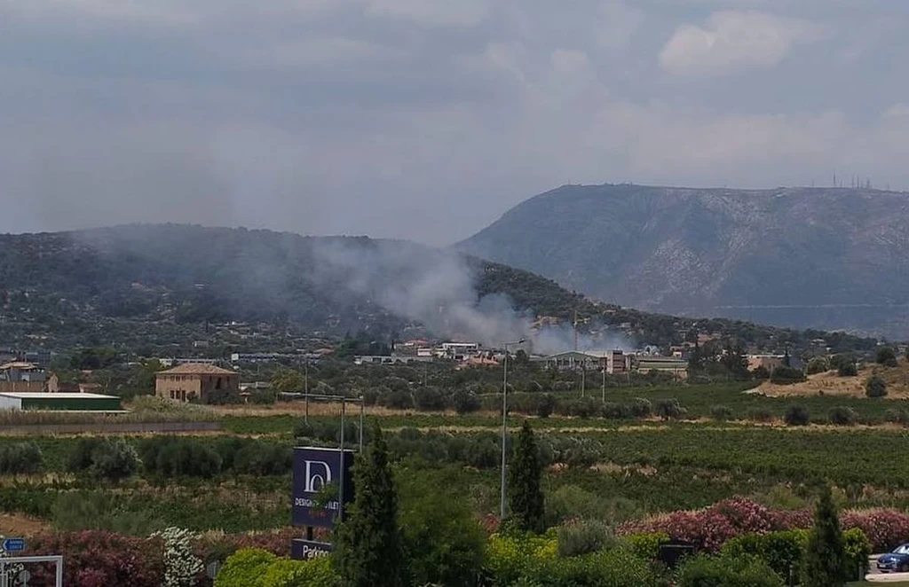 Φωτιά κοντά σε σπίτια στην Παλλήνη: Ήχησε 112
