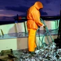Κυρώσεις στην Τουρκία για «παράνομη αλιεία στο Αιγαίο» ζητά ο Φαραντούρης