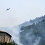 Καύσωνας: Πάνω από 5000 θάνατοι στη Γερμανία – Νέο κύμα στη Γαλλία, στερεύουν ποτάμια