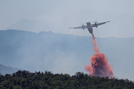 Συναγερμός στη Γαλλία από φωτιά στο Φονταινεμπλό – Η Ευρώπη μετρά τις πληγές της από τον καύσωνα