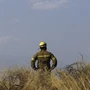 Φωτιά σε χαμηλή βλάστηση στο Σοφό Ασπροπύργου – Μήνυμα του 112