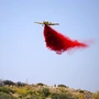Ισπανία: Σε πύρινο κλοιό 30 χωριά – Στάχτη 260.000 στρέμματα, νέος καύσωνας προ των πυλών