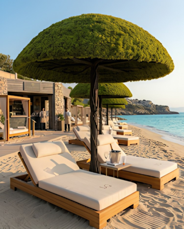 The First Beach Tree by Spacegreen – Επανεφευρίσκοντας τη Σκιά