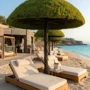 The First Beach Tree by Spacegreen – Επανεφευρίσκοντας τη Σκιά