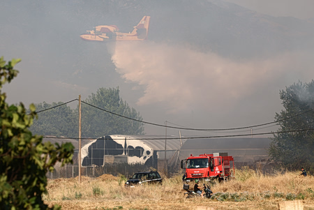 Φωτιά στα Καλιγάτα της Κεφαλονιάς – Καίει κοντά σε σπίτια