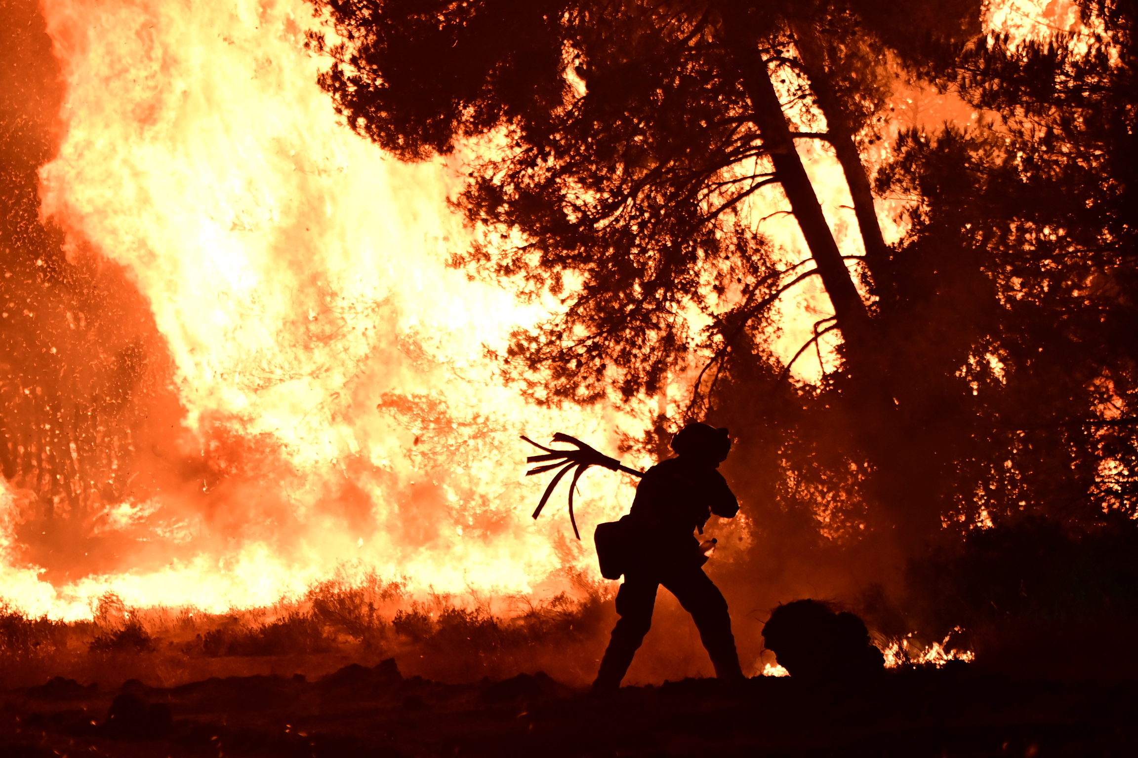 Στις 53 οι αγροτοδασικές πυρκαγιές το τελευταίο εικοσιτετράωρο – Tέσσερις συλλήψεις για εμπρησμό