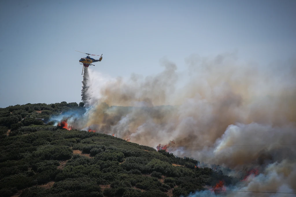 Πρόστιμα από την Πυροσβεστική για απόρριψη αναμμένων τσιγάρων που προκάλεσαν φωτιές