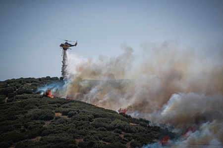 Πρόστιμα από την Πυροσβεστική για απόρριψη αναμμένων τσιγάρων που προκάλεσαν φωτιές