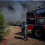 Κορωπί: Συνελήφθη 27χρονος για τη φωτιά – Έκλεβε ρεύμα και προκάλεσε πυρκαγιά