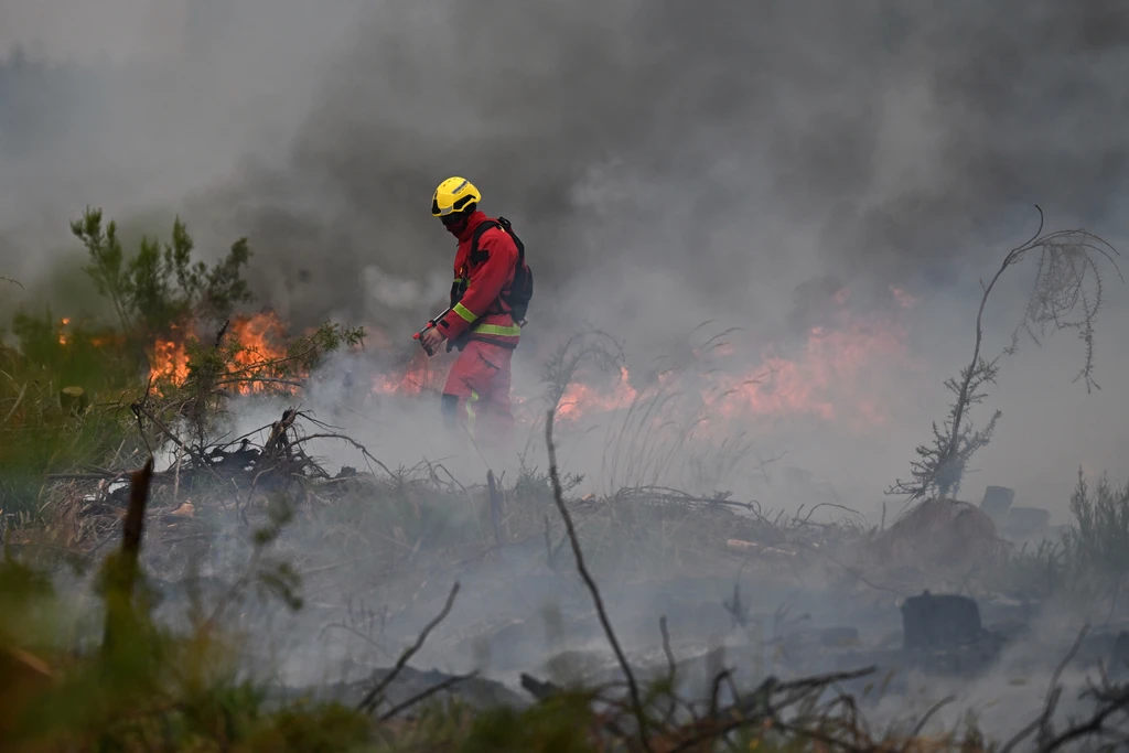 Γαλλία-Φωτιές: 420.000 στρέμματα στάχτη στη Ζιρόντ – Απειλείται το Μπορντό, 220.000 εκτοπισμένοι