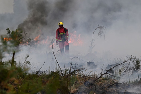 Φωτιές: Γιατί έχουν ξεσπάσει τόσες στην Ευρώπη – Η μπαρουταποθήκη και η πυροσωρειτομελανία