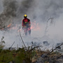 Φωτιές: Γιατί έχουν ξεσπάσει τόσες στην Ευρώπη – Η μπαρουταποθήκη και η πυροσωρειτομελανία