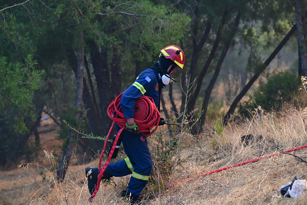 Φωτιές: Κάηκαν 50.000 στρέμματα στη Βοιωτία – Στην Αφρική έφτασε ο καπνός | Επικαιρότητα στο PlusTV.gr