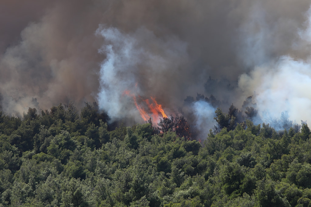 Φωτιά στην Κεφαλονιά: Σύλληψη 44χρονου για εμπρησμό – Είχε ξανακαταδικαστεί για συναφή υπόθεση