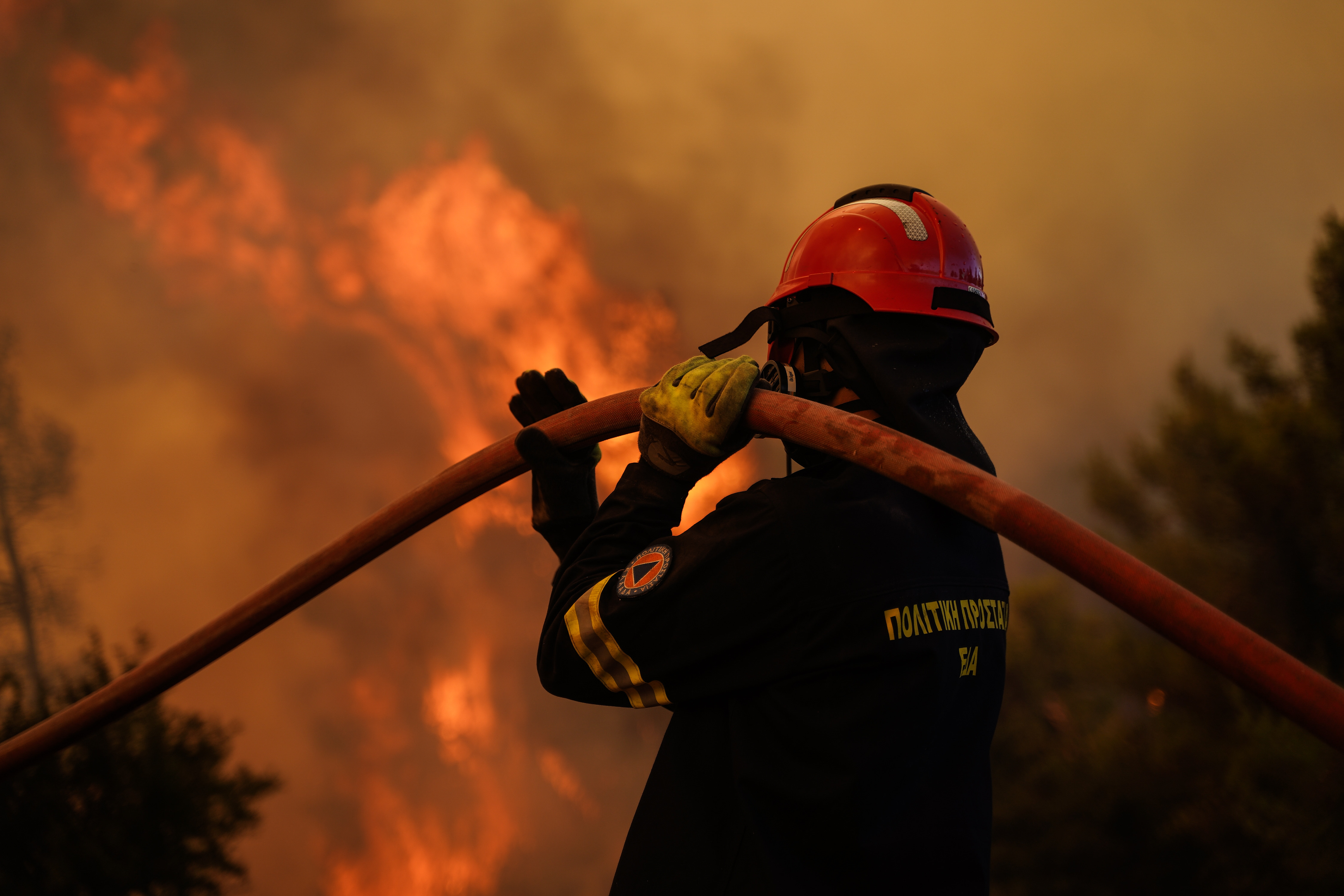 Ξέφυγε η φωτιά στην Αττική: Καίγονται σπίτια στο Όρος Πατέρας - Μάχη να σωθούν Μέγαρα, Αλεποχώρι, Κιθαιρώνας