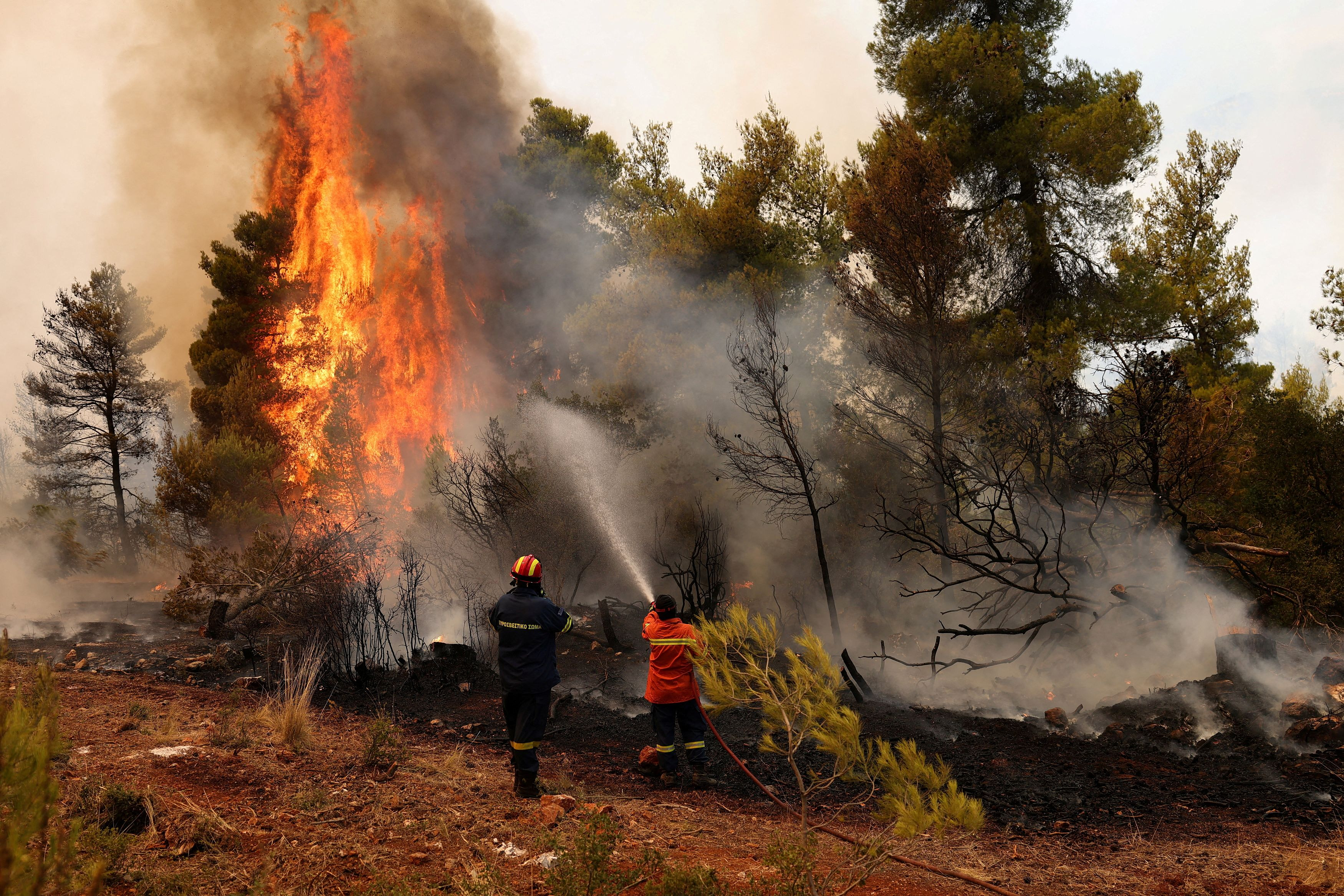LIVE: Φωτιά στη Δυτική Αττική: Μεγάλη μάχη σε Άγιο Νεκτάριο και Κανδήλι - Διάσπαρτες εστίες σε όλο το μέτωπο
