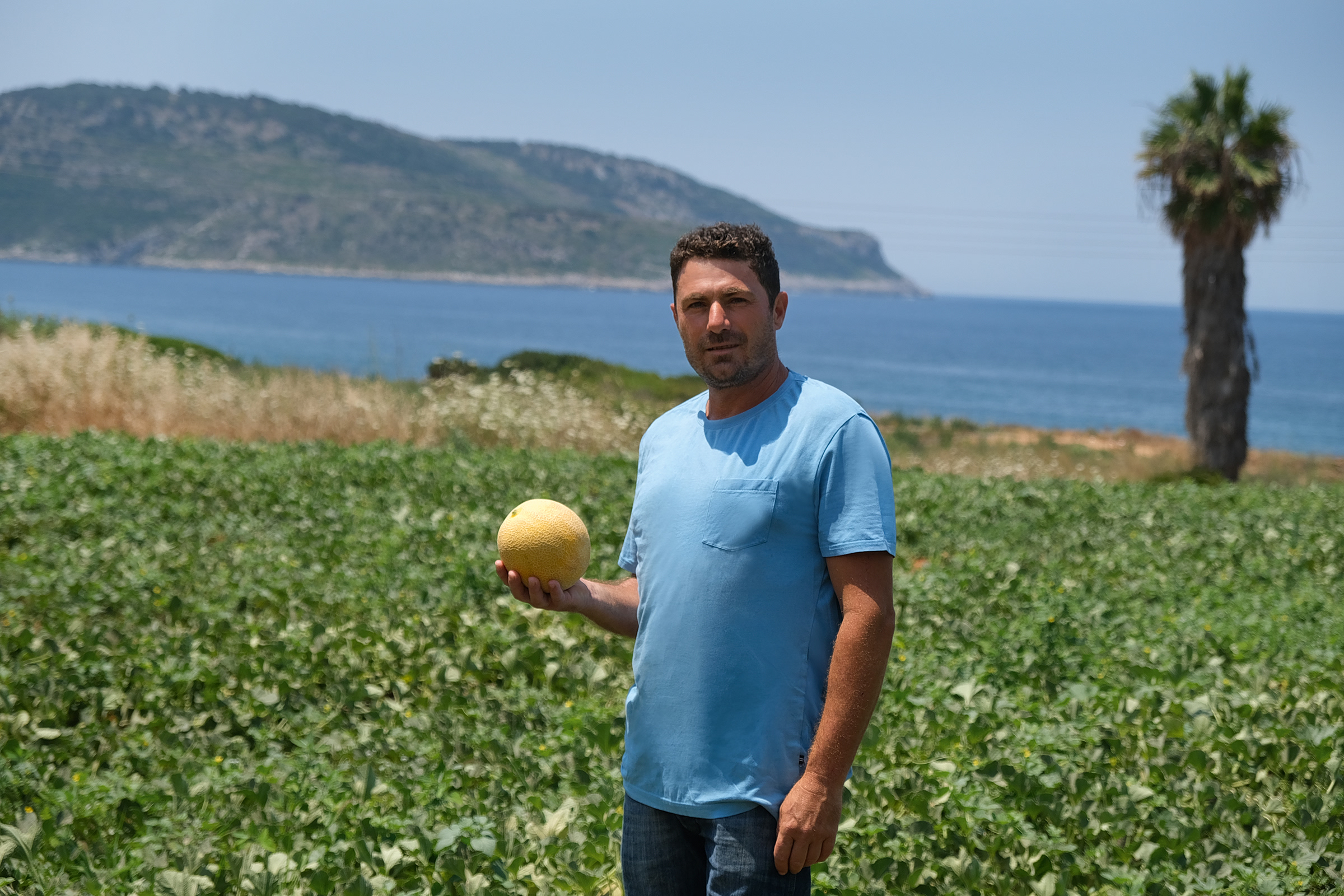 Το πιο γλυκό πεπόνι στον κόσμο είναι ελληνικό και παράγεται στους Γαργαλιάνους