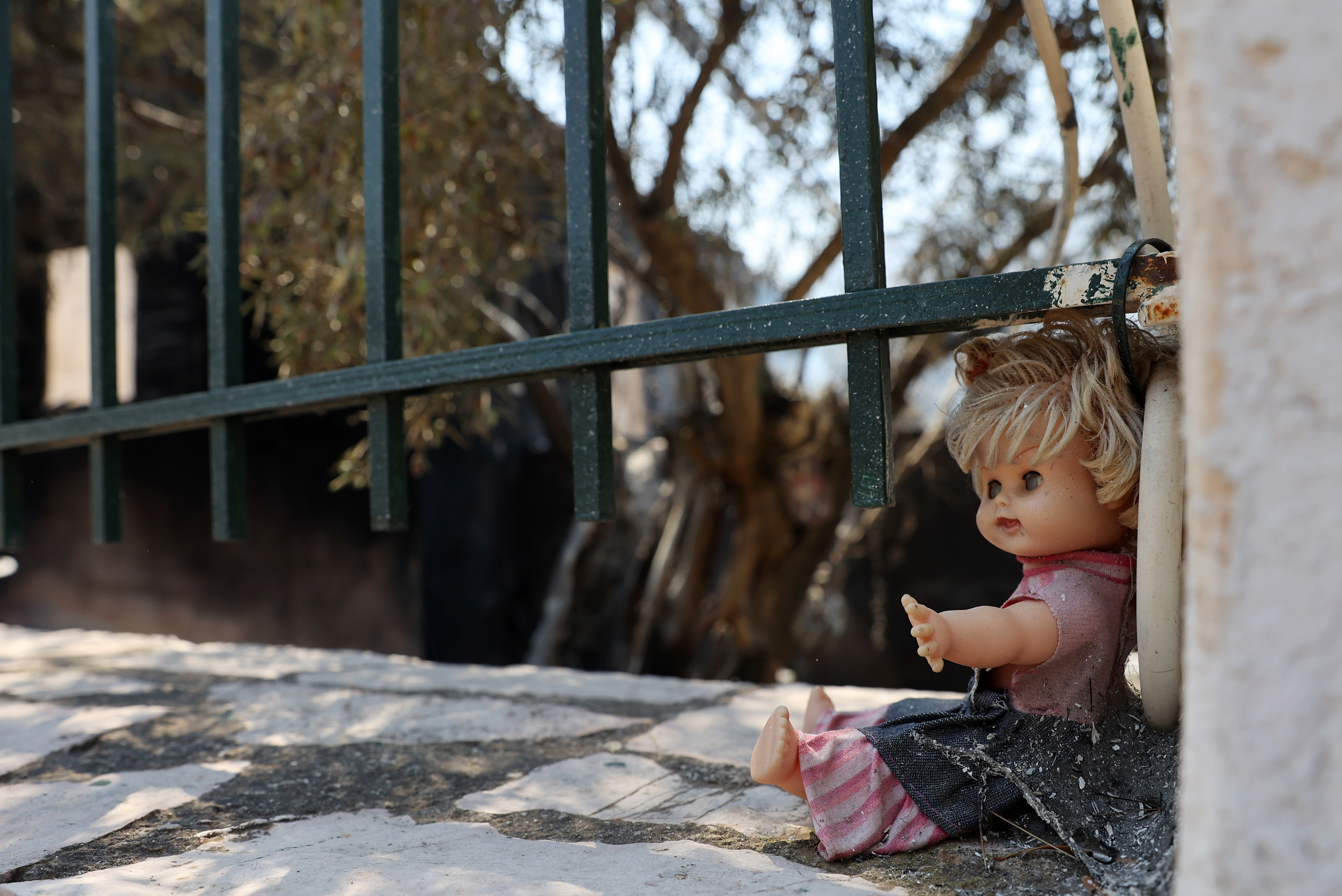 «Σαν να μην υπήρξε ποτέ πράσινο» στο Πόρτο Γερμενό: Το timelapse της πύρινης κόλασης στον Κιθαιρώνα
